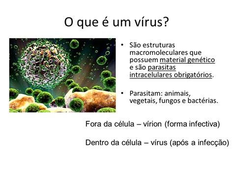 Porque Os Vírus São Considerados Parasitas Intracelulares Obrigatorios