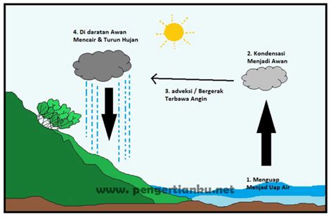 Siklus Hidrologi Dilengkapi Pengertian Komponen Macam Macam Dan Sexiz