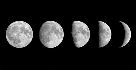 Las Fases De La Luna Conoce Y Conéctate Con Sus Significados Alma