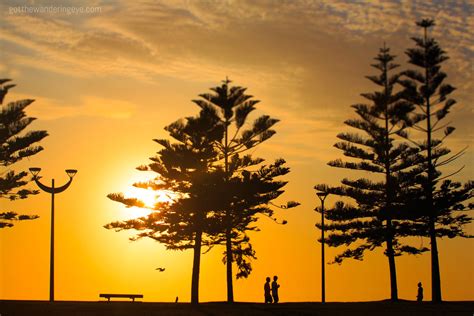 Best Sunrise Spots Sydney Morning Stroll Gotthewanderingeye