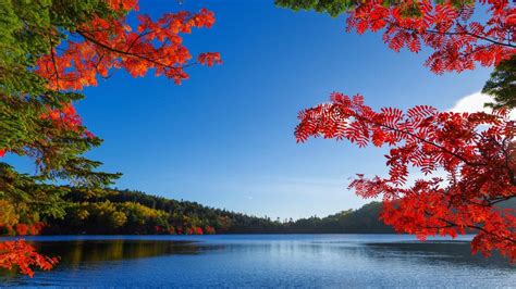 Autumn Lake Wallpapers Wallpaper Cave