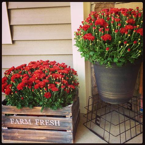 Welcome Spring 17 Great Diy Flower Pot Ideas For Front
