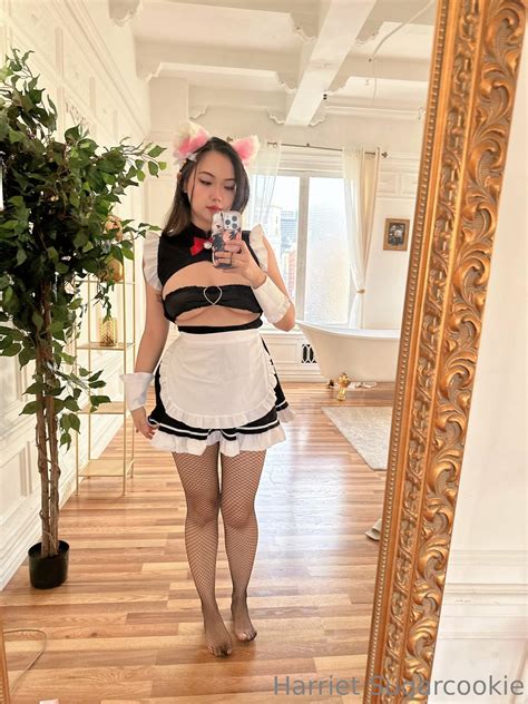 Harriet Sugarcookie Harrietsugarcookie Nude Onlyfans Leaks 23 Photos