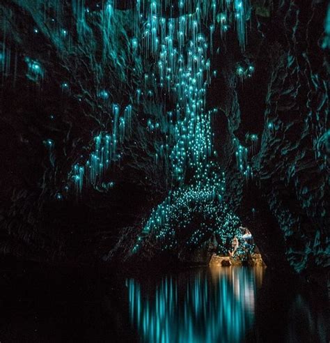 Glowworm Caves In New Zealand Popsugar Smart Living Photo 4