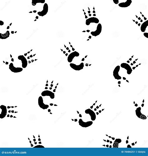 Koala Footprint Stock Illustrations 20 Koala Footprint Stock