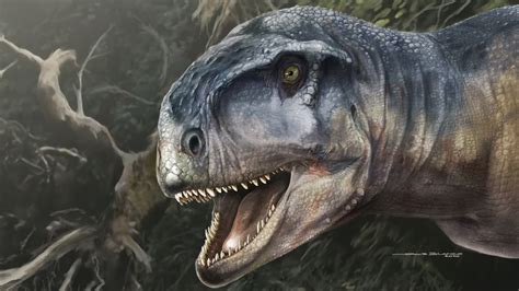 Llukalkan Aliocranianus Dinosaur Discovered In Argentina Npr