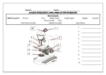 Science Worksheet Label The Parts Of A Microscope By Science Workshop Easel Activities Digital