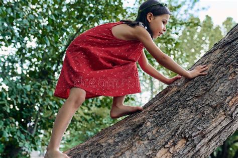 Cheerful Little Girl Climbing On The Big Tree Exploring The Nature