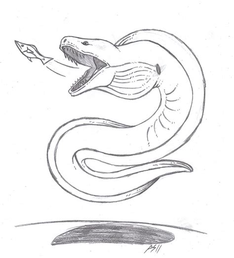 Great How To Draw Eel In The Year 2023 Learn More Here Howtodrawtutorial8