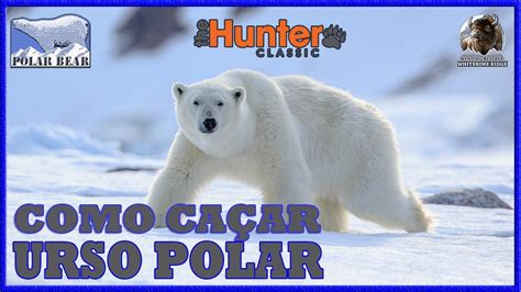 Como CaÇar Urso Polar Thehunter Classic Youtube