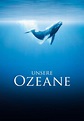 Unsere Ozeane - Stream: Jetzt Film online anschauen