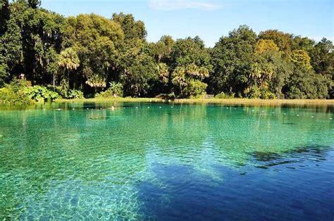 The 10 Most Beautiful Natural Springs Near Tampa You Must Visit 2023