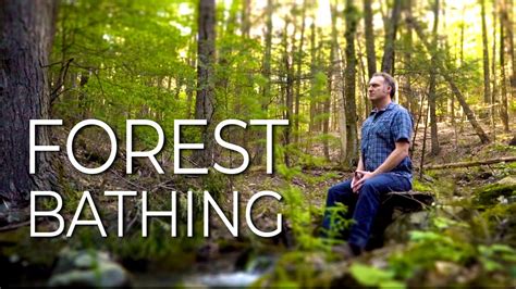 Forest Bathing A Simple Yet Powerful Nature Meditation Youtube