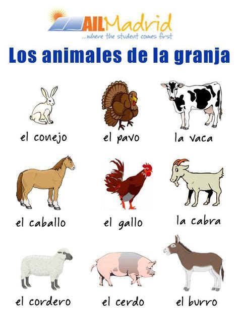 Las 13 Mejores Imágenes De Animales En 2018 Vocabulario Español