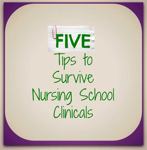 Five Tips To Survive Nursing School Clinicals Nursing School Tips
