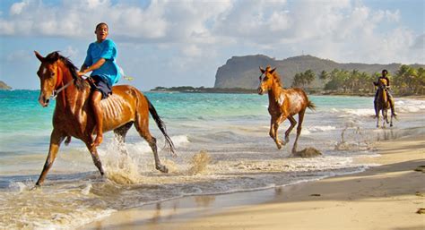 Best Caribbean Horseback Riding On The Beach And In The Water