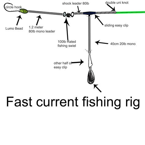 Fast Current Fishing Rig Diagram Western Port Rig Gummy Shark Rig