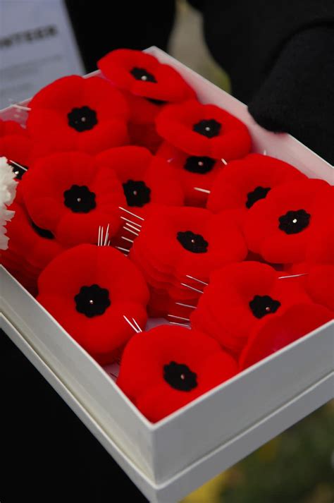 The History Of How Red Poppies Became The Symbol Of Memorial Day Is