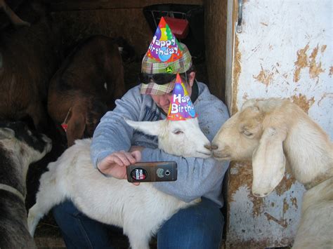 Westfarm Goats Snowdrops Birthday Party