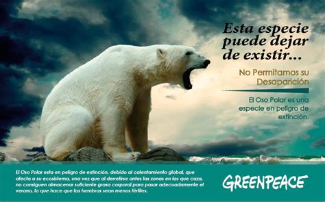 Afiches “animales En Peligro De Extinción” On Behance