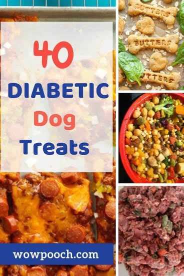 40 Diabetic Dog Treats You Can Easily Make Wowpooch