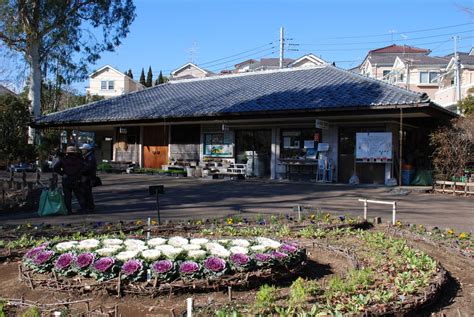 【東京】赤塚植物園：600種の草花を鑑賞できる!板橋区の緑のテーマパーク - おすすめ旅行を探すならトラベルブック(TravelBook)