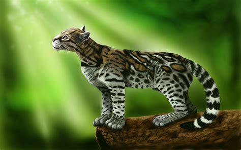 Ocelot Cat On A Green Background Wallpapers And Images