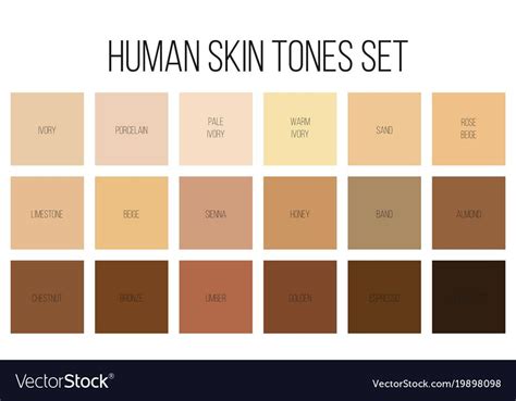 Skin Color Palette Palette Art Color Palettes Skin Undertones Skin