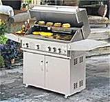 Images of Kirkland Signature Stainless Steel 4 Burner Gas Grill