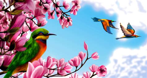 Spring Paradise Wallpapers Wallpaper Cave