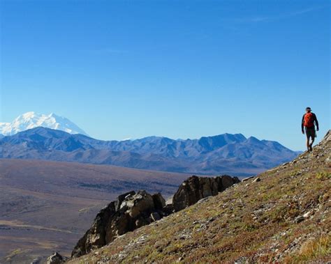 The 24 Best Hikes In Denali National Park Alex On The Map