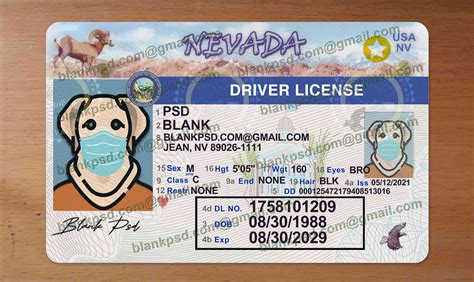 Nevada Drivers License Template New V1 Blank Psd