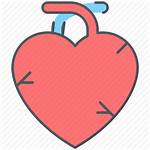 Heart Icon Cardiac Arrest Organ Breath Infarction