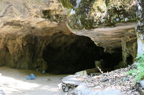 Karst Worlds Jobs In Cave Conservation