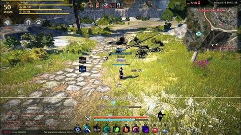 The ps4 version of black desert just got two more classes with awakening skills as the striker and tamer are getting a boost in abilities. Black Desert tamer combo - YouTube