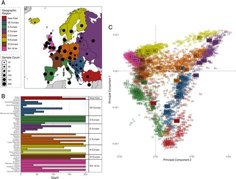 Revealing The Recent Demographic History Of Europe Via Haplotype