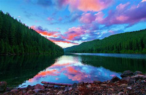 Sunset In Oregon Photograph By Kami Mckeon Fine Art America