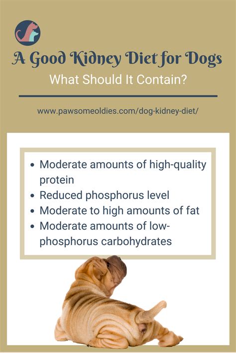 Restricting protein is key to feeding an older dog with kidney disease. Dog Kidney Diet (With images) | Kidney diet for dogs ...