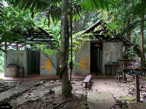 Dengan keluasan 39,797 hektar, ia bersempadan dengan taman negara endau rompin, johor. Terokai khazanah alam di Taman Negara Endau-Rompin Selai ...