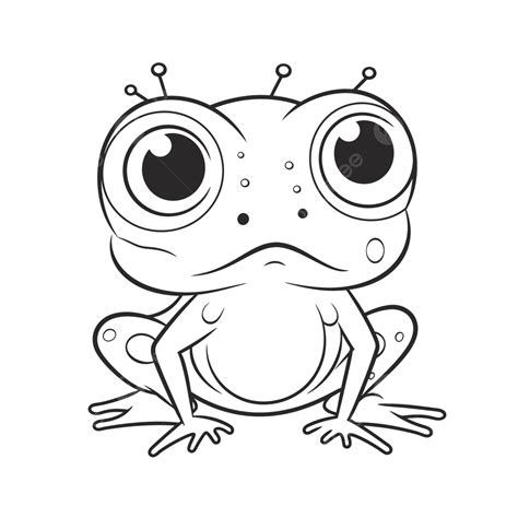 Frog Coloring With Big Eyes Outline Sketch Drawing Vector Frog Drawing
