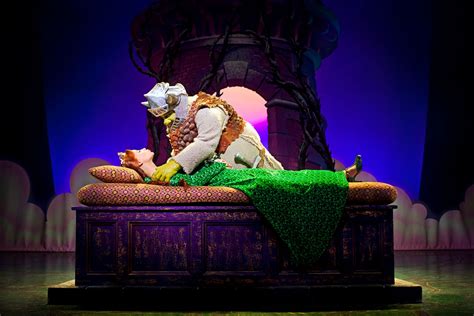 Shrek The Musical Pictures Yorkshirelive