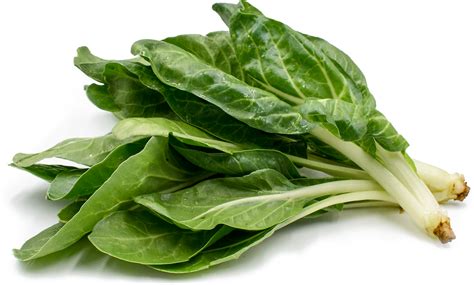 Try to search more transparent images related to switzerland png |. Swiss Chard PNG Transparent Image | PNG Arts