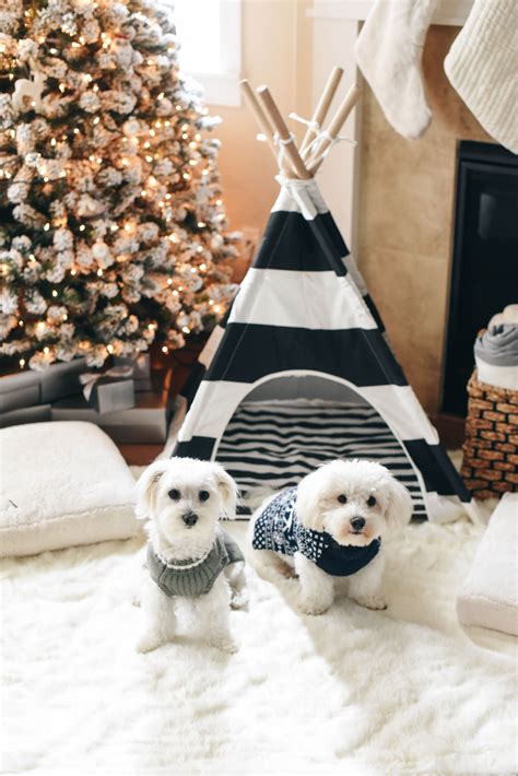 These monthly gift boxes for dogs are the perfect doggy christmas gift that keeps the fun going all year round. Holiday Gift Guide: For the Dog Lover - Crystalin Marie