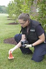 Forensic Science Technician Information