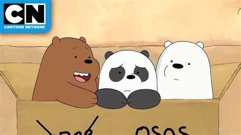 Come and see their stomping grounds in san francisco for yourself and meet all. We Bare Bears | Baby Bears in Mexico | Cartoon Network ...
