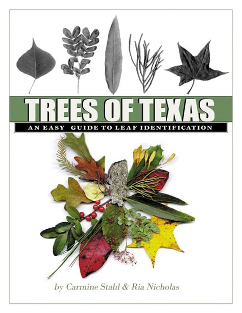Trees Of Texas An Easy Guide To Leaf Identification