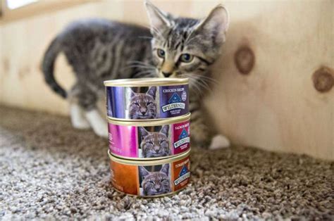 This is also not ideal. Why Choosing Blue Buffalo Wet Cat Food for Your Pet ...