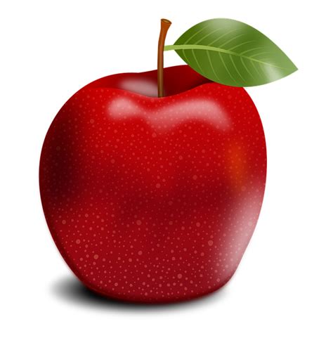 Apple Pommier Des Fruits Image Gratuite Sur Pixabay