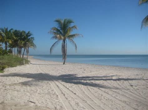 Crandon Park Beach Key Biscayne Fl Top Tips Before You Go Tripadvisor