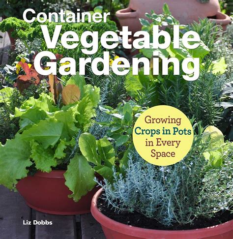 The Best Container Gardening Book Ideas Atelieartemae